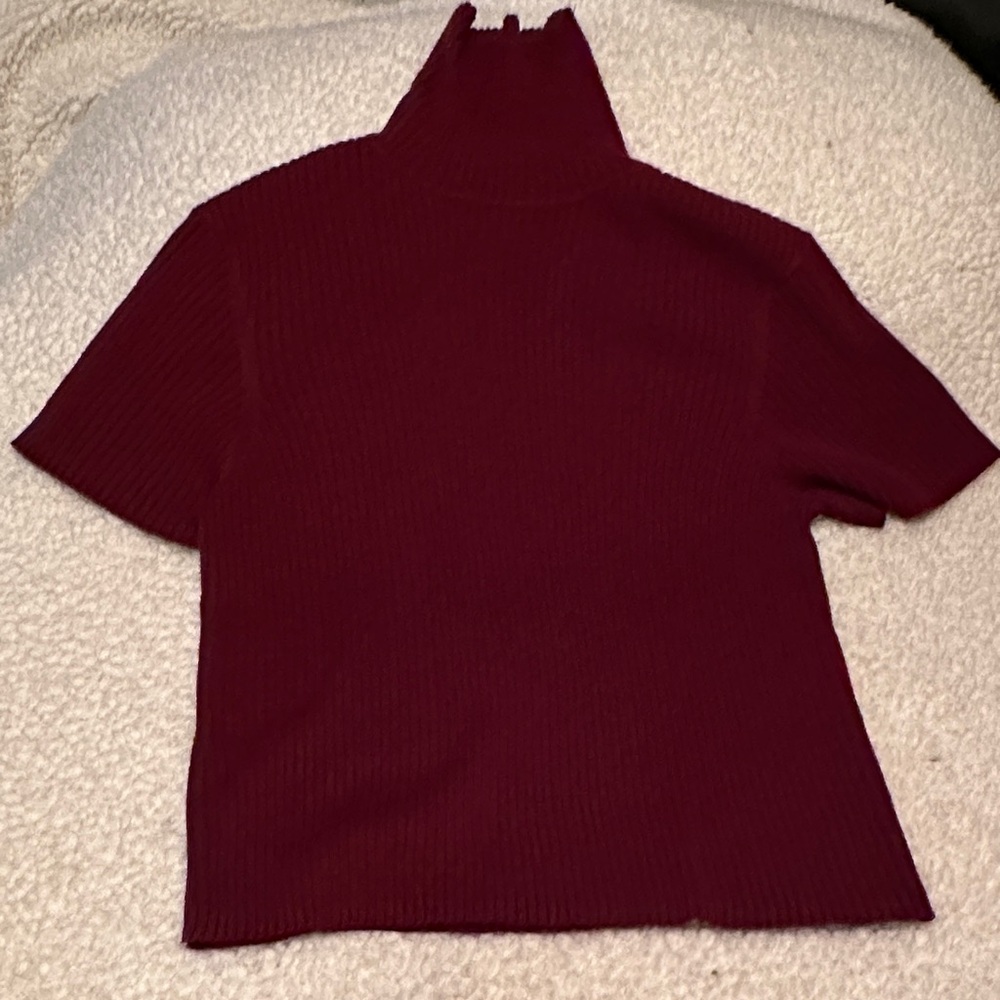 Short-Sleeve Ribbed Turtleneck Tunic in Burgundy